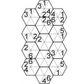 Honeycomb  sudoku